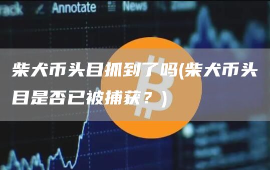 柴犬币头目抓到了吗 - 柴犬币头目是否已被捕获？